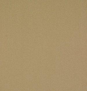 SANDERSON CHAIRASCURO FABRIC